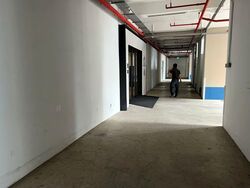 Perfect One (D13), Factory #557168201